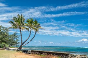 Hawaii 2017